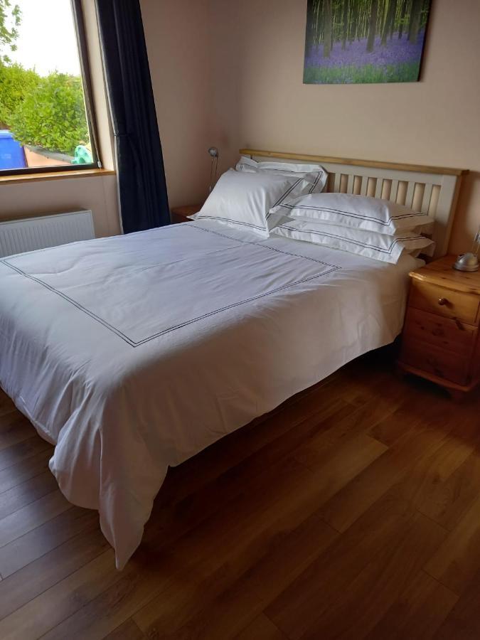 Benbulben View F91Yn96 Bed and Breakfast Sligo Buitenkant foto
